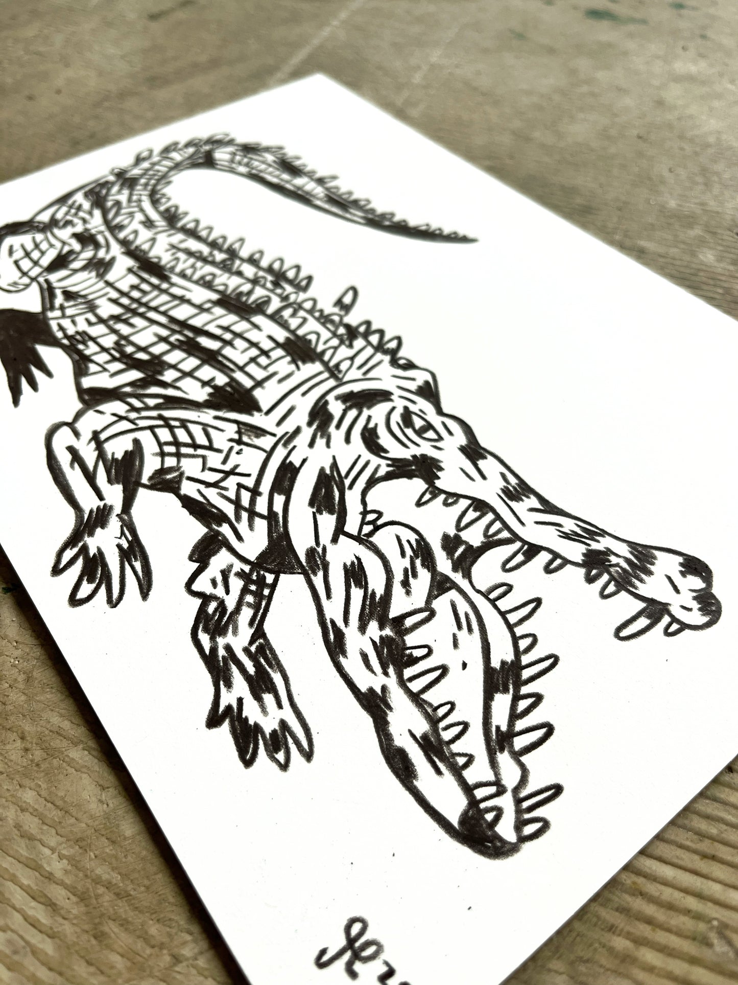 Alligator - 18x26 cm