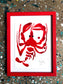 Hummer indrammet - 24x18 cm