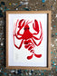 Hummer indrammet - 24x18 cm